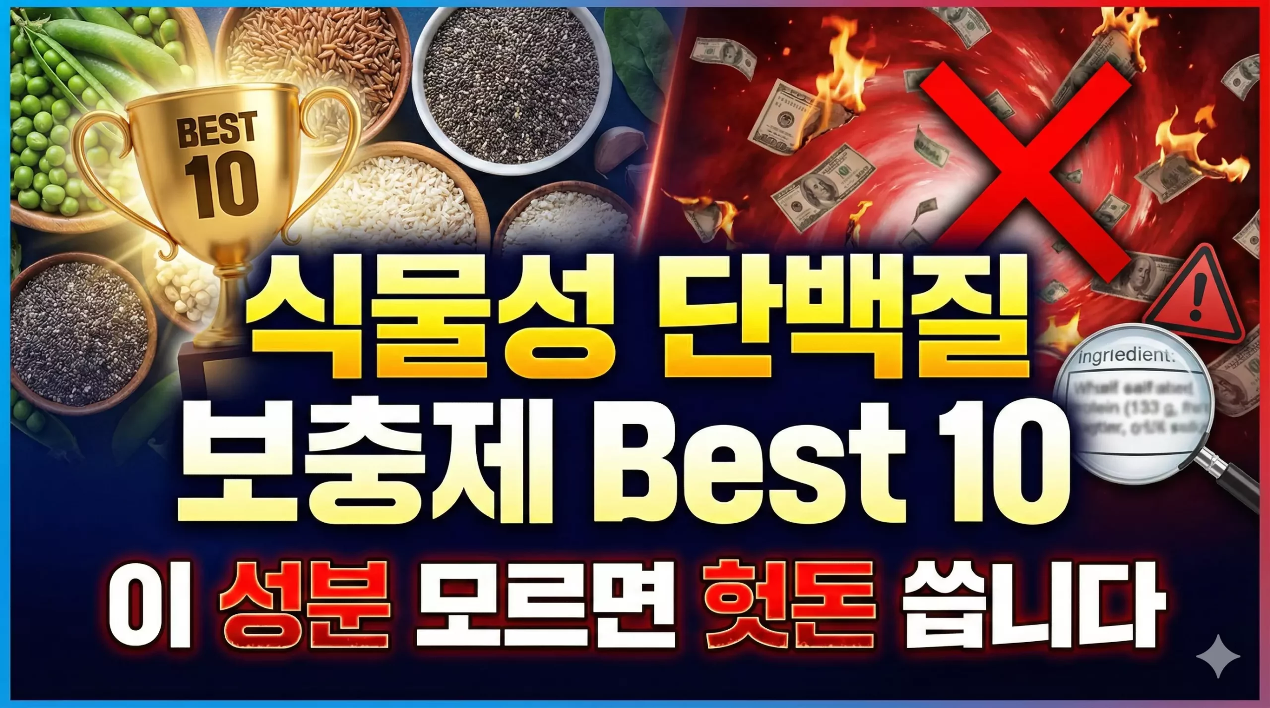 식물성 단백질 보충제 알아보기 대표 이미지
