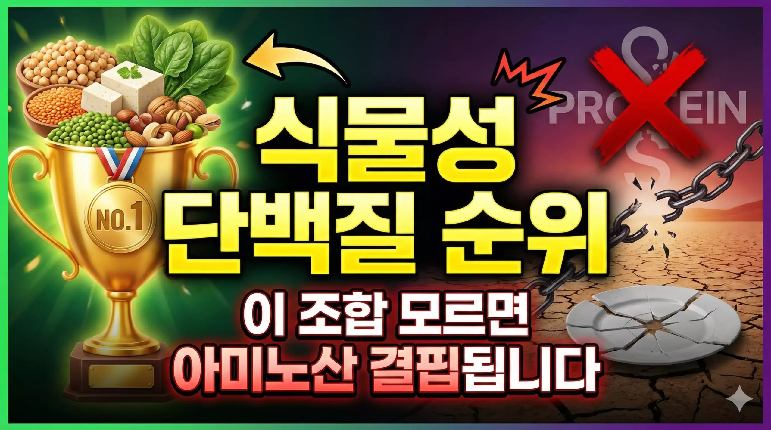 식물성 단백질 순위 알아보기 대표 이미지