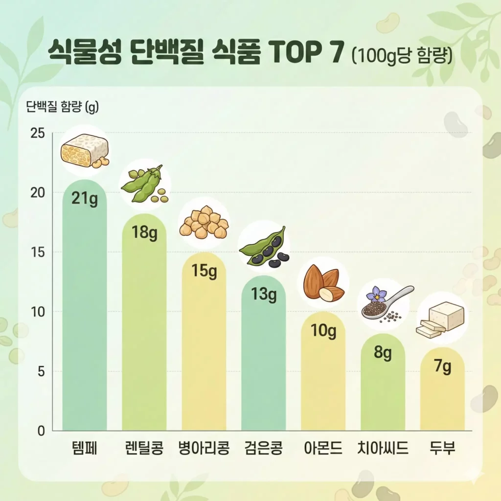 식물성 단백질 함량 비교 차트 - 템페, 렌틸콩, 병아리콩 100g당 그램 수