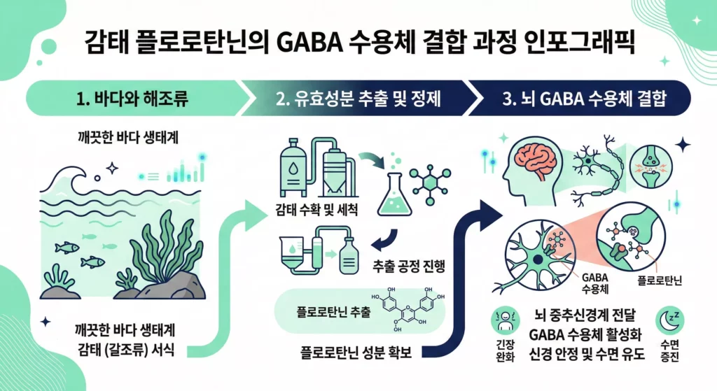 감태 플로로탄닌 수면 개선 효과 인포그래픽