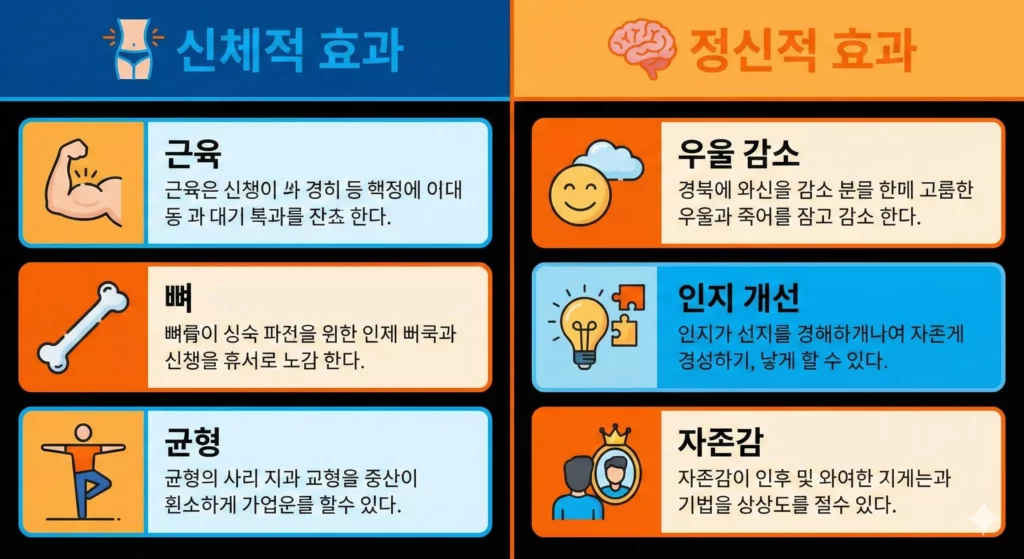 노인 근력운동 신체·정신 효과 비교 인포그래픽