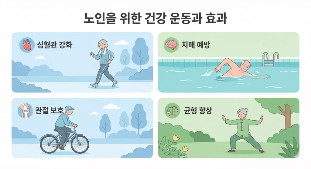 노인 유산소 운동 종류 및 효과 인포그래픽 2026