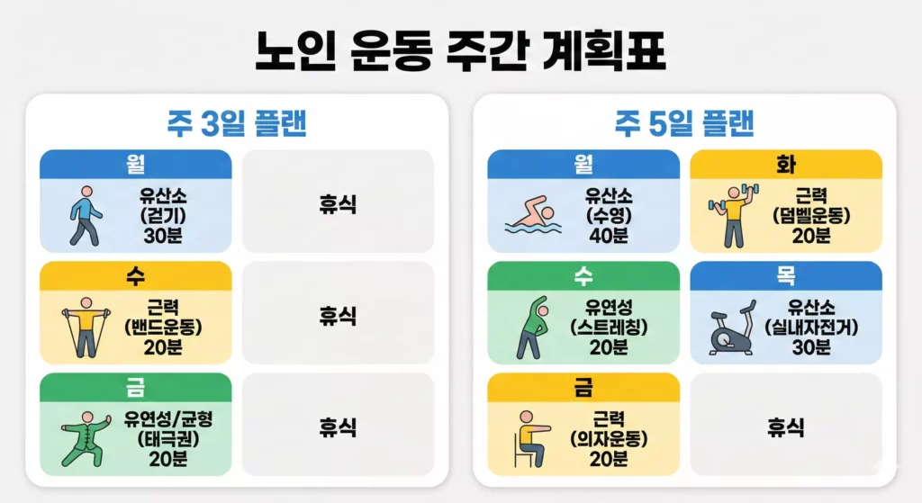 노인 유산소 운동 주간 프로그램 주 3일·5일 플랜 도식