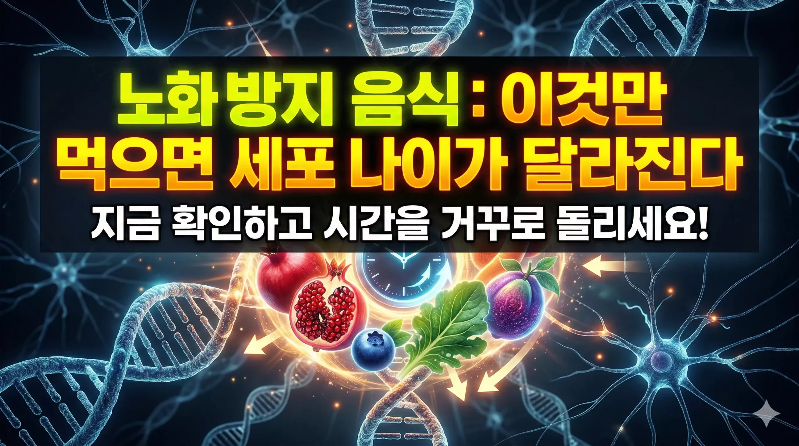 노화 방지 음식 알아보기 대표 이미지