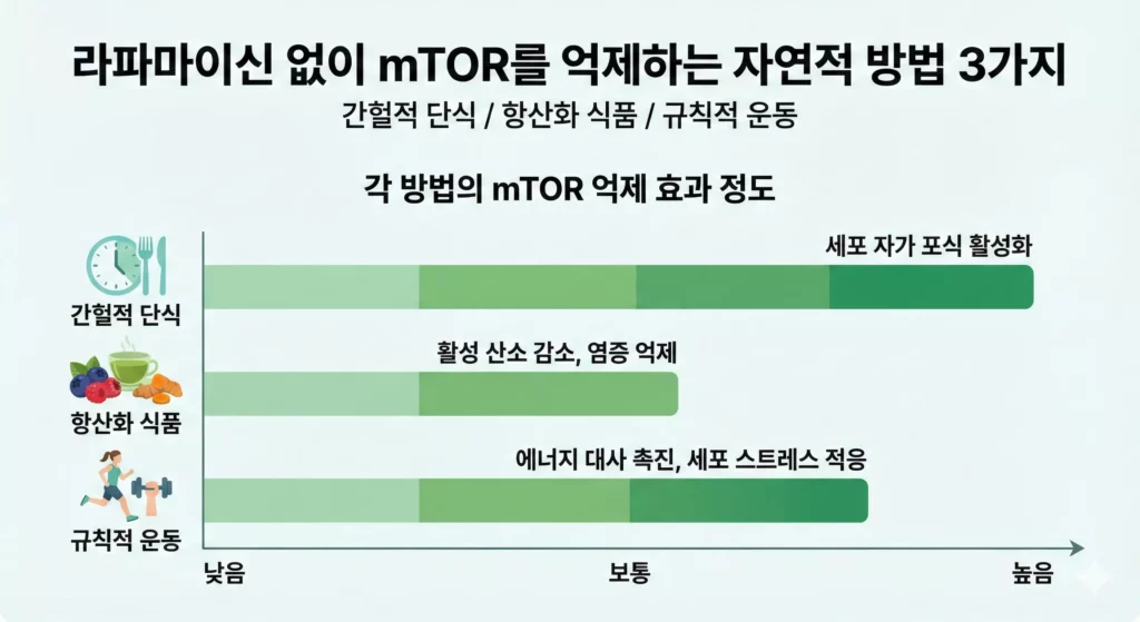 라파마이신 대체 자연 항노화 방법 비교표 - 간헐적단식, 칼로리제한, 항산화식품
