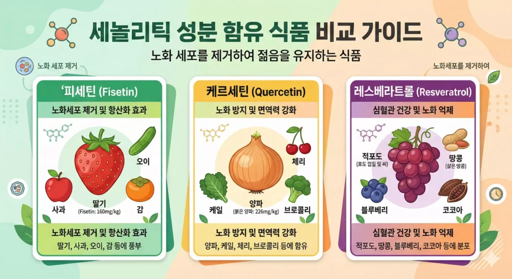 세놀리틱 식품 비교 차트 — 피세틴·케르세틴·레스베라트롤 함유 식품
