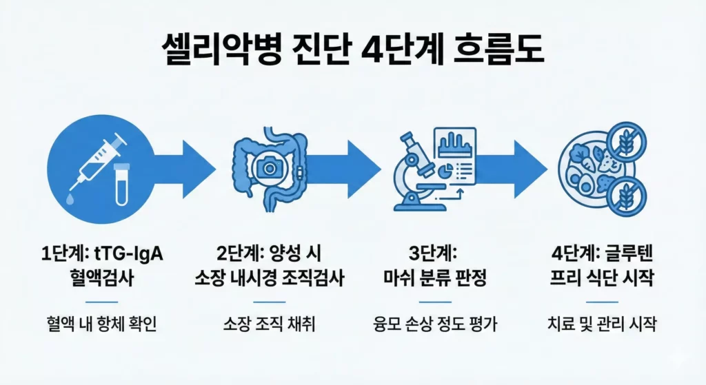 셀리악병 진단 단계별 흐름도 – 혈액검사에서 조직검사까지