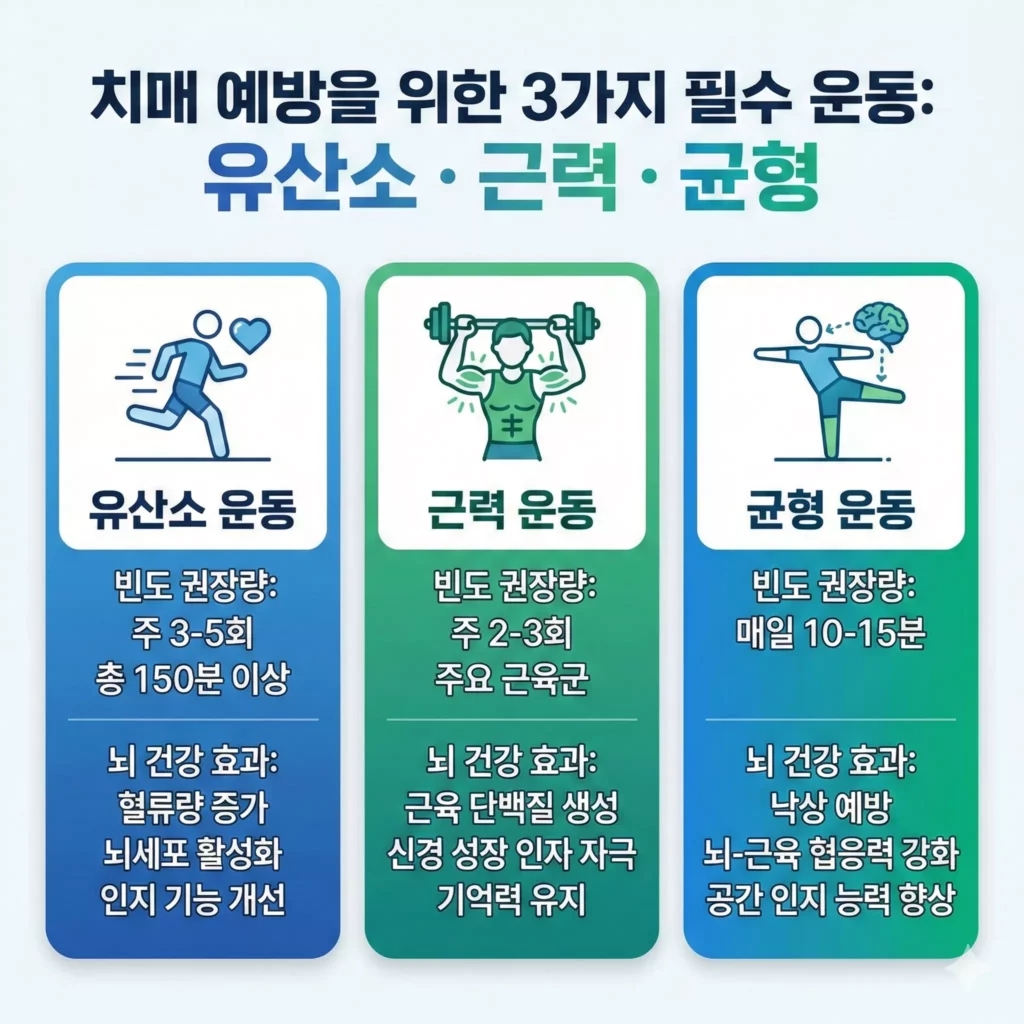 치매 예방 운동 종류 비교 — 유산소·근력·균형 운동의 뇌 건강 효과