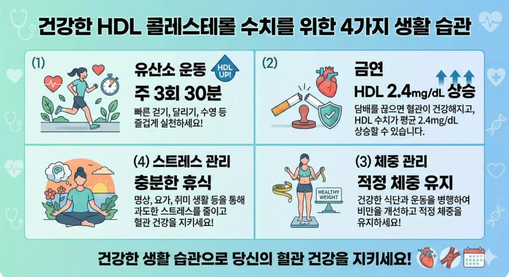 HDL 콜레스테롤 높이는 생활습관 4가지 인포그래픽 - 운동·금연·체중관리·스트레스
