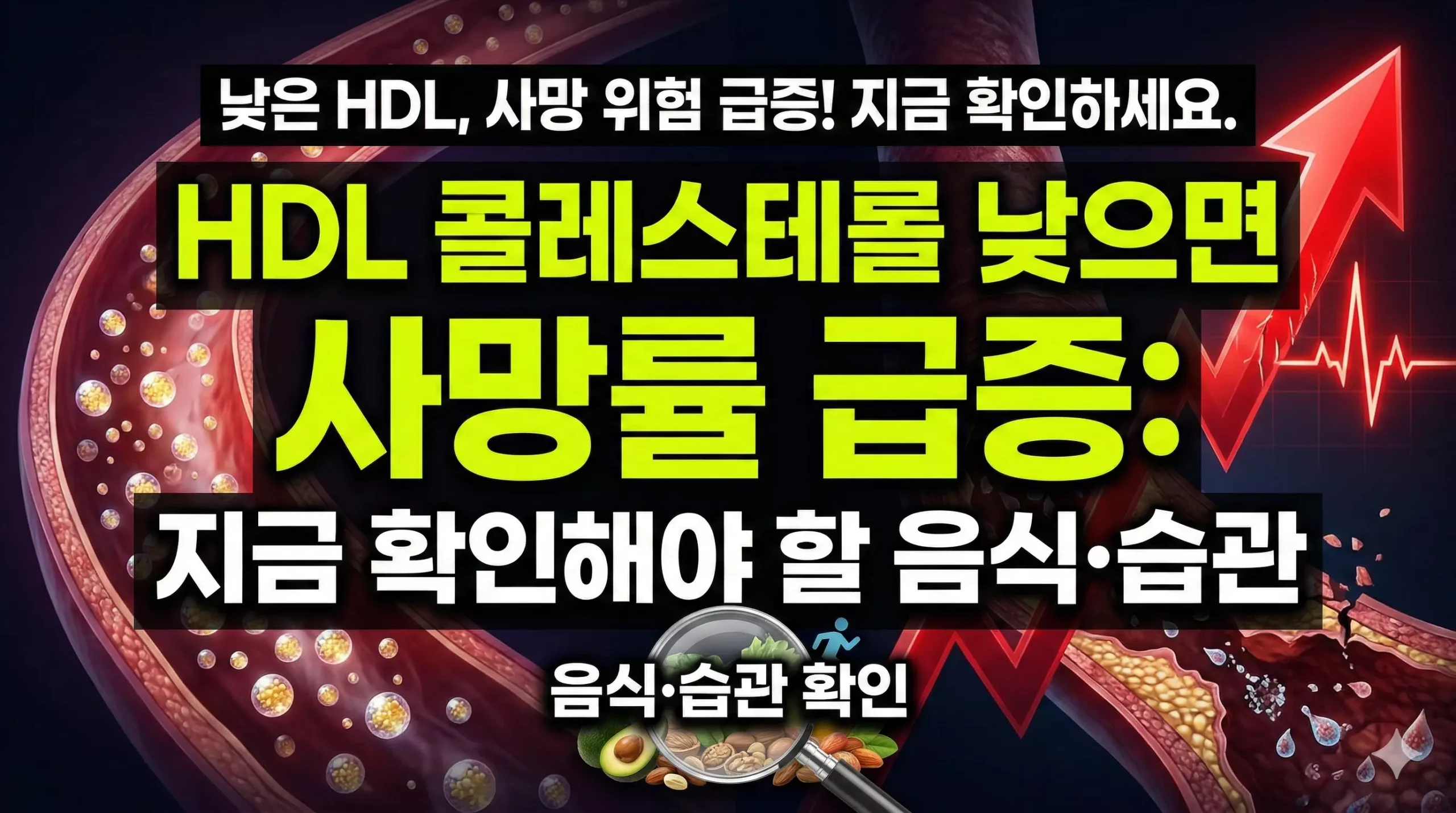 HDL 콜레스테롤 알아보기 대표 이미지