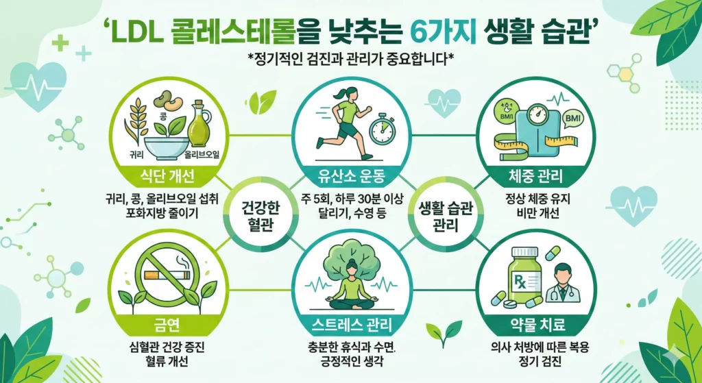 LDL 콜레스테롤 낮추는 생활습관 방법 인포그래픽