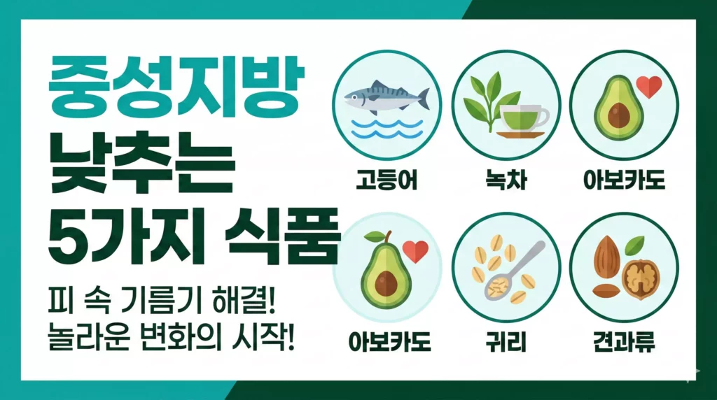 중성지방 낮추는 음식과 생활습관 한눈에 보기 인포그래픽
