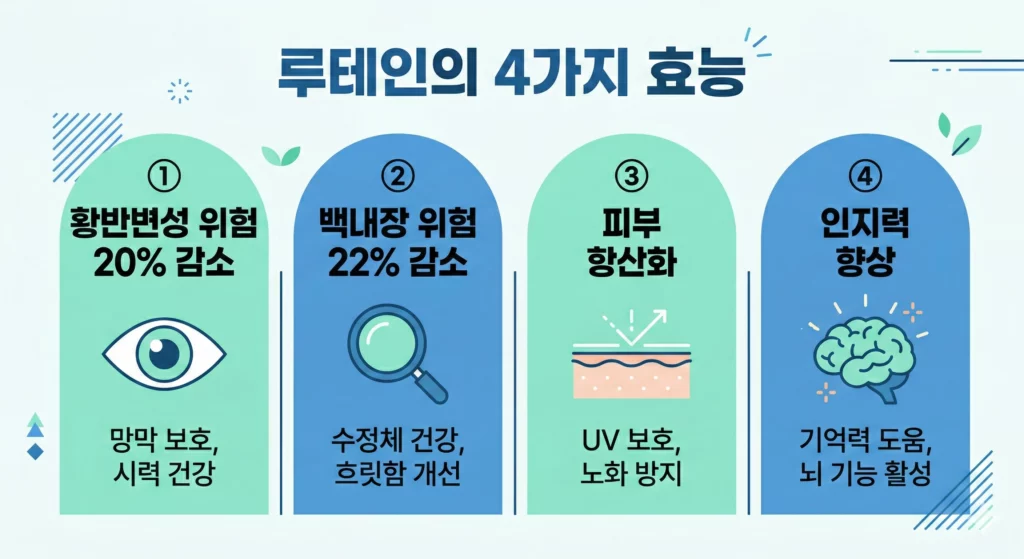 루테인 황반변성 예방 효과 인포그래픽 - AREDS2 20년 추적 연구 결과