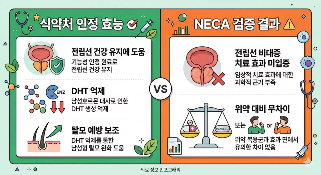 쏘팔메토 효능 vs 한계 비교 인포그래픽 – 식약처 인정 효능과 NECA 검증 결과